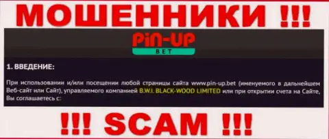 Юр лицо организации Pin-Up Bet - это Б.В.И. БЛЕК-ВУД ЛТД, информация взята с официального портала