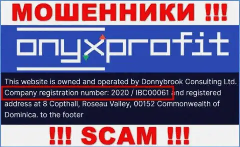 Номер регистрации, который присвоен организации OnyxProfit - 2020 / IBC00061