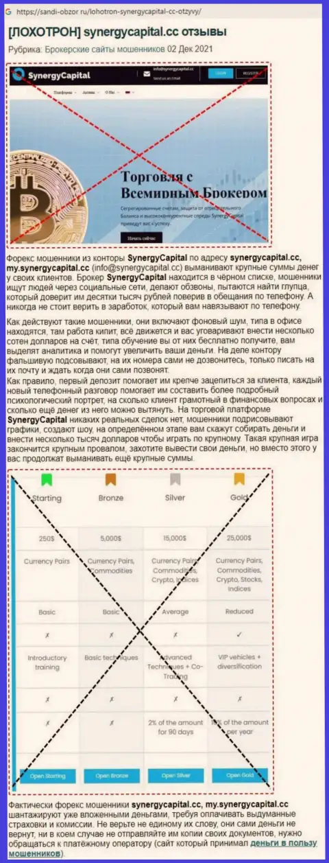 Обзор SynergyCapital Cc с описанием всех признаков противоправных действий