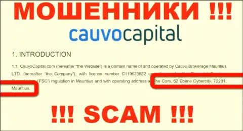 Нереально забрать денежные вложения у CauvoCapital - они сидят в оффшорной зоне по адресу The Core, 62 Ebene Cybercity, 72201, Mauritius