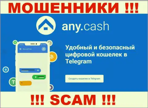 Any Cash - это internet-мошенники, их работа - Виртуальный кошелек, направлена на отжатие вложенных денег доверчивых людей