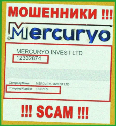 Номер регистрации преступно действующей компании Меркурио: 12332874