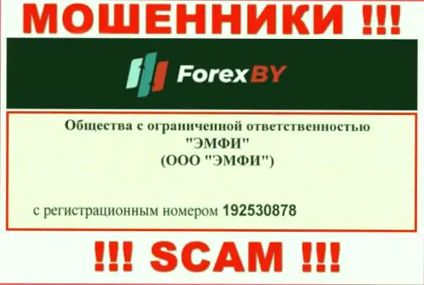 На ресурсе аферистов Forex BY приведен именно этот регистрационный номер указанной организации: 192530878