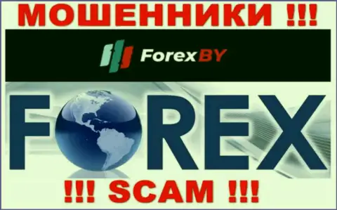 Будьте крайне бдительны, сфера работы Forex BY, Forex - это надувательство !!!
