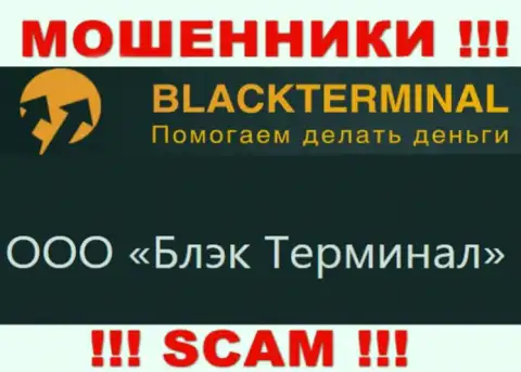 На официальном web-сайте Black Terminal сообщается, что юридическое лицо организации - ООО Блэк Терминал
