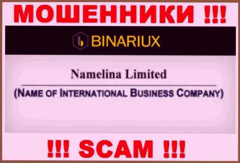 Бинариукс - это интернет обманщики, а управляет ими Namelina Limited