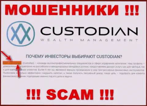 Юридическим лицом, управляющим internet-лохотронщиками Custodian, является ООО Кастодиан