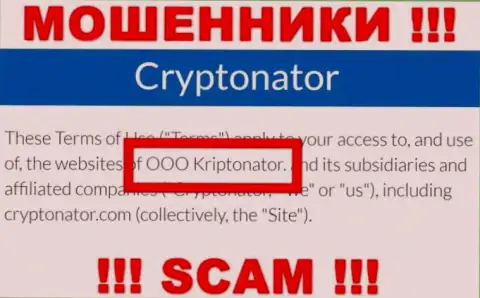 Организация Криптонатор находится под крылом компании OOO Криптонатор