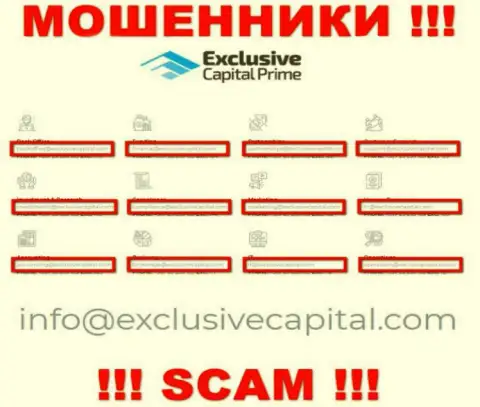 На е-майл, приведенный на сайте воров Exclusive Capital, писать сообщения опасно - это ЖУЛИКИ !!!
