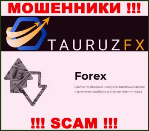 Forex - это именно то, чем занимаются интернет-мошенники ТаурузФХ