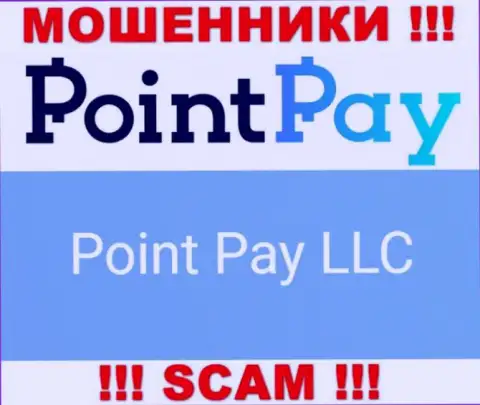 Юридическое лицо мошенников Point Pay LLC - это Point Pay LLC, информация с интернет-сервиса воров