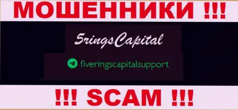 На веб-сервисе мошенников FiveRings Capital указан данный адрес электронного ящика, но не рекомендуем с ними контактировать
