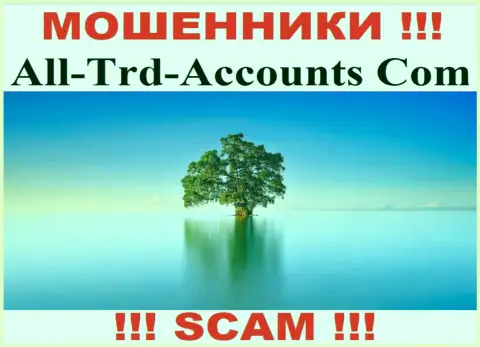 All-Trd-Accounts Com воруют деньги и остаются без наказания - они спрятали сведения о юрисдикции