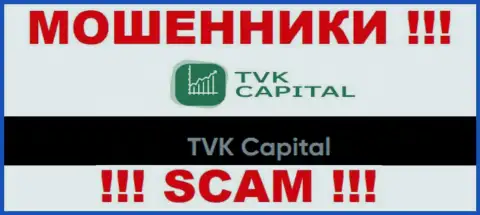 TVK Capital - это юридическое лицо разводил TVK Capital
