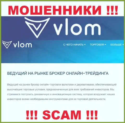 Область деятельности неправомерно действующей организации Vlom - это Broker
