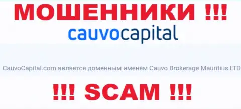 Мошенники Cauvo Capital принадлежат юридическому лицу - Кауво Брокеридж Маврикий ЛТД