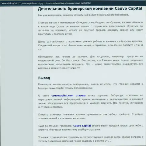 Дилер Cauvo Capital представлен в информационной статье на ресурсе nsllab ru